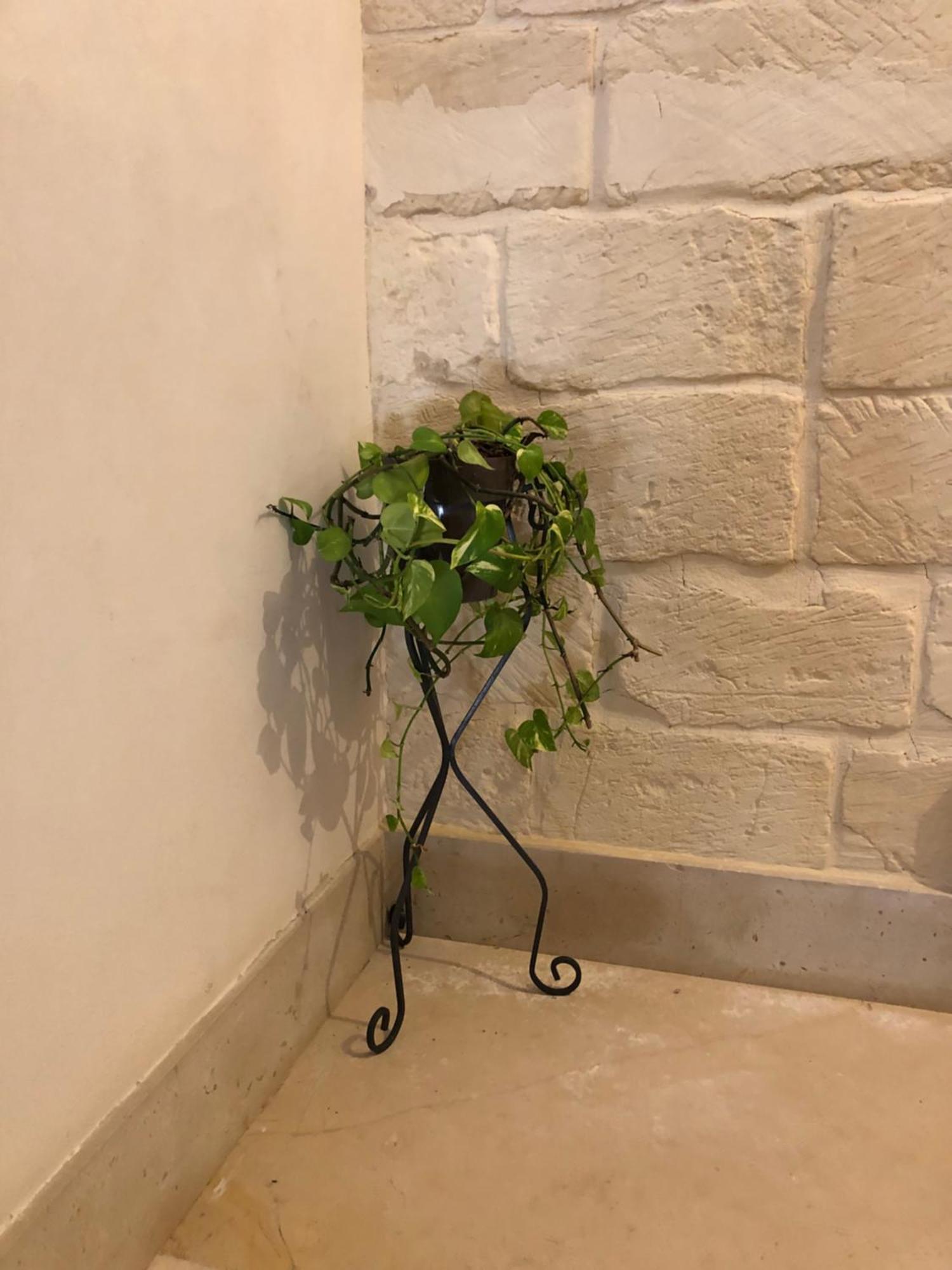 Mayu'S House , Dimora Nel Centro Storico Di Lecce Eksteriør billede